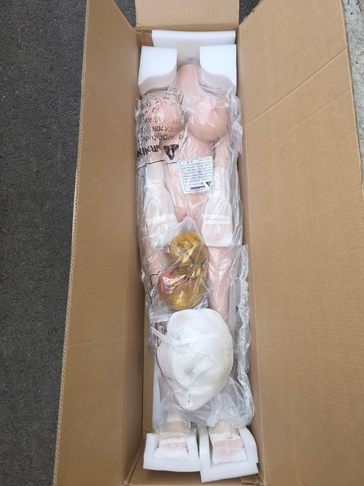 Abel Sex Doll Full Body Sex Toy for Men | eBay
