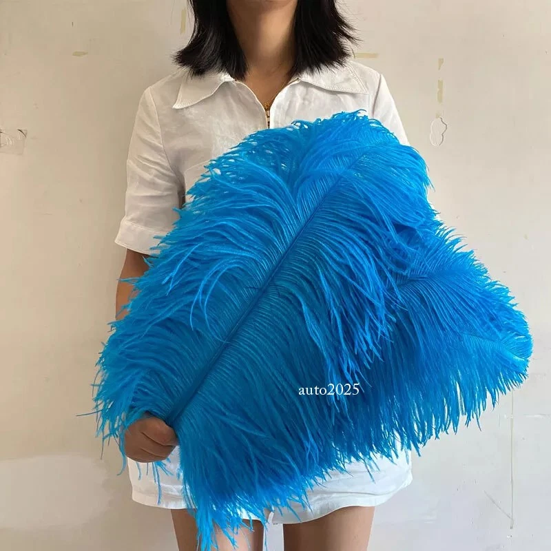 Venta al por mayor 10/50/100 piezas plumas de avestruz 6-28 pulgadas/15-70 cm para fiesta de boda Foto 3 de 4