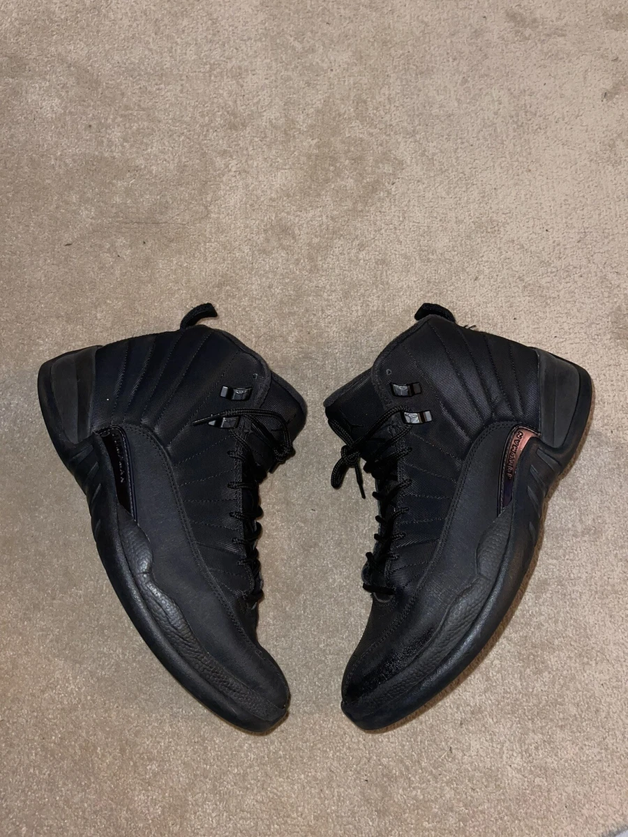 Jordan retro 12 winterized best sale men's