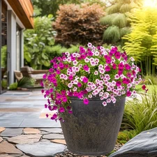 24 in Anjelica Unbreakable Polyresin Planter - Sable - Set of 4 by Sunnydaze