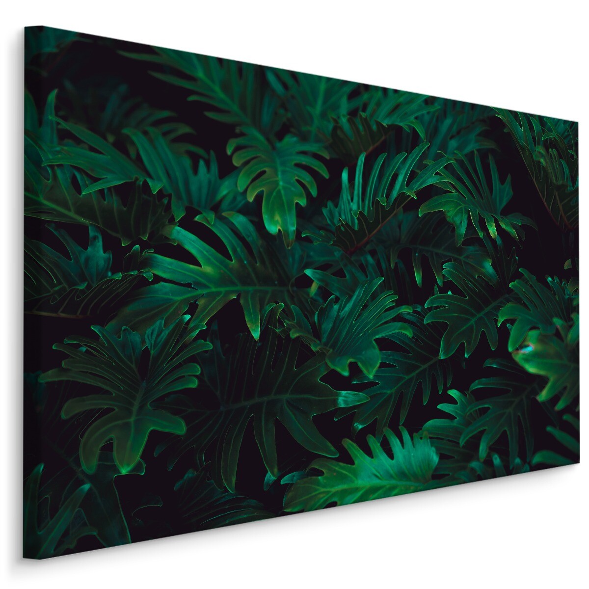 Toile Feuilles Tropicales Vertes déco murale | Poster Store FR