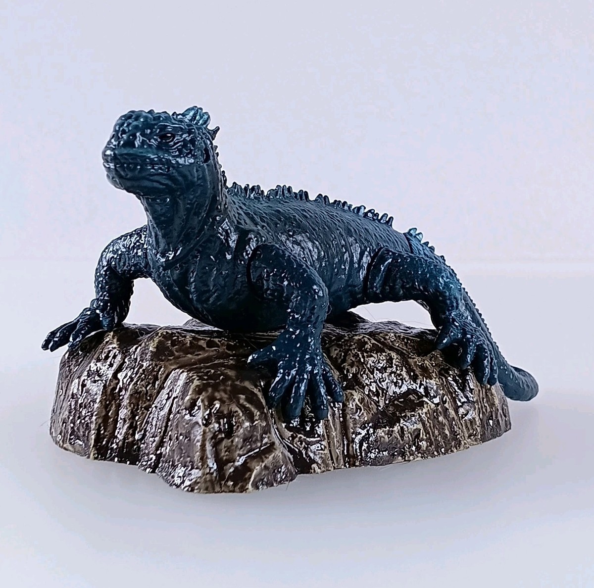 Galápagos Marine Iguana - Nature Zone: Galápagos Islands