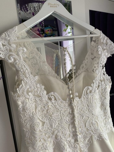 Gorgeous Anna Serrano Beautifully Embellished Wedding Dress Size 18 With Train - Picture 10 of 12