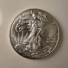 2013 American Silver Eagle U.S. Mint 1 oz .999 Silver Business Strike