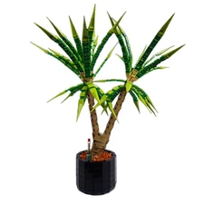 Dracaena Marginata / Room Plant, Potted Plant Model 1952 Pieces MOC Build Gift