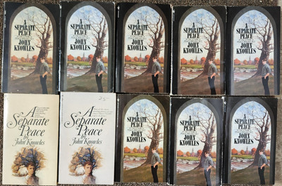 Lot 10 John Knowles A Separate Peace Guided Reading Class Set pb Books