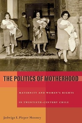 The Politics of Motherhood: Maternity and Women's Rights in Twentieth-Century...