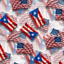 US and Puerto Rico Flags 23 - 18"x46" Hydrographic Film Hydro Dipping