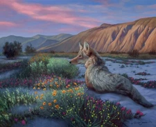 Beautiful Coyote Painting - Desert Wildflower - Giclee Print - Limited Edition