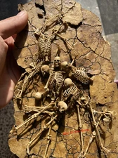 1/18 Scale Human Beings Skeleton Model For 3.75" Action Figure Accessory Toy