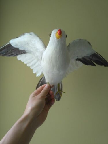 big simulation seagull model foam&feather wings seagull bird gift about 35x55cm - Picture 3 of 5