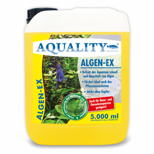 (6,00€/l) AQUALITY AlgenEx 5000 ml gegen Algen im Aquarium! Algenvernichter - Bild 1 von 4