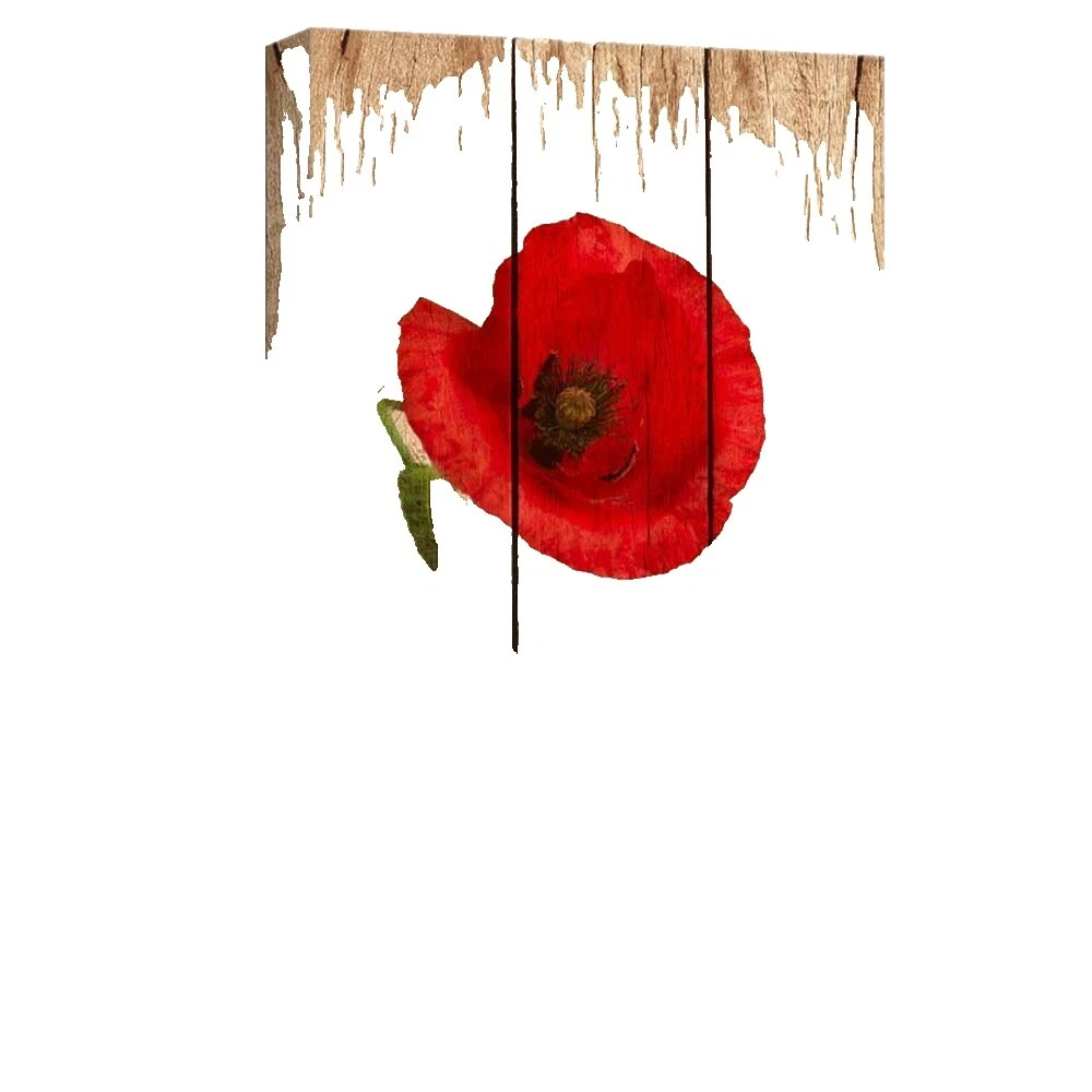 Afiches y grabados para decoración del hogar de Amapola