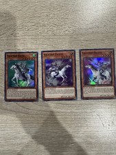 Yugioh Cards Valkyrie Dritte Erste Zweite Holos Set with Bonus Gift
