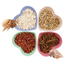 4 Pack Hermit Crab Plastic Food Dish Mini Water Bowl Kit for Small Reptiles