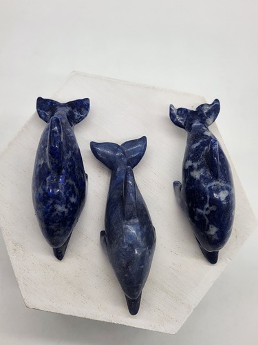 3 Sodalite Dolphins 2.5"x1.5" - Picture 10 of 11