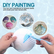 20PCS Natural Scallop Shells for Crafts  Baking - 6 Large 4-5in  14 Mediu...