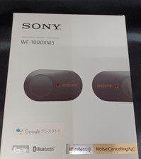 Sony WF-1000XM3 True Wireless Earbuds Bluetooth Noise Cancelling Black