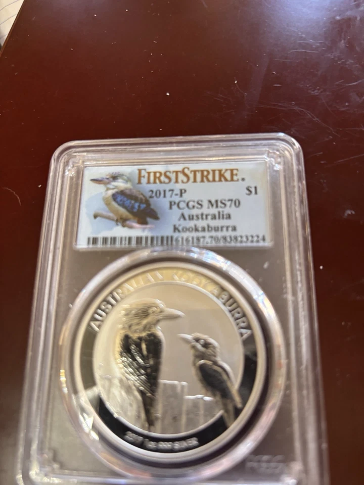 Kookaburra 2017 graduación profesional. Ms70 First Strike Foto 2 de 4