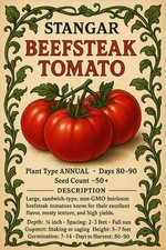 Beefsteak Tomato Seeds  Heirloom Tomato Seeds  Fresh NON-GMO Vegetable Seeds