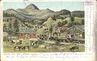 kitchen alpfahrt dairyman aelpler 