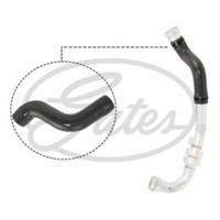 Gates Ladeluftschlauch FüR Renault Grand ScéNic III JZ0/1_ 1.5 Dci Megane BZ0_