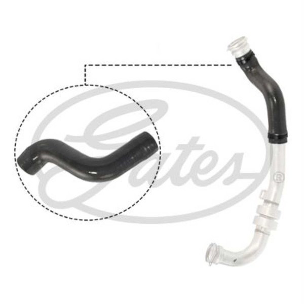 Gates Ladeluftschlauch FüR Renault Grand ScéNic III JZ0/1_ 1.5 Dci Megane BZ0_-image