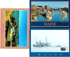 MAINE LOBSTER (3) Mint Continental Chrome Postcards Lot #25