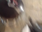 Foto 3 di 3