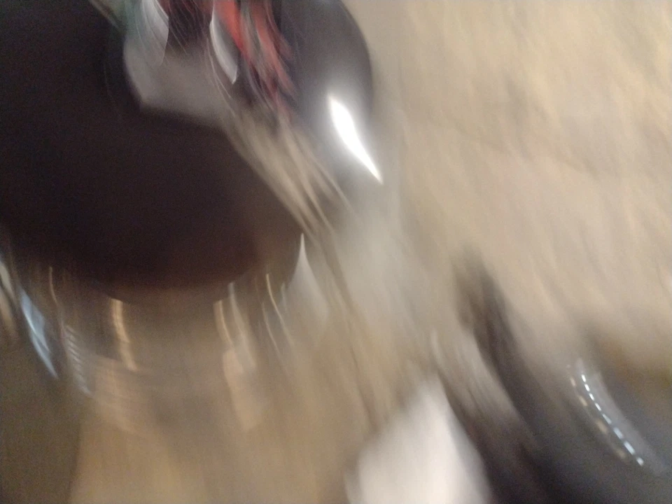 Muelles de embrague Barnett Performance - Juego de 4 501-87-04009 Suzuki Foto 3 de 3