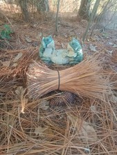 Cajun Native Long Leaf Pine Needles 16 oz Bundle 1lb weaving crafting avg 10"  