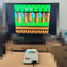 Adventure Island Nintendo NES Famicom Takahashi Meijin no Bouken Jima Japan