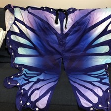 Adult Butterfly Light Up Wing Costume