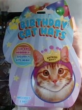cat hat for cats