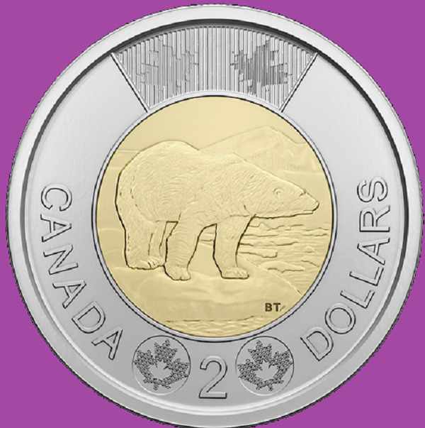 Set of 6 2023 Canadian Coins. Mint UNC Canada Toon $2 Loonie $1 50c 25c 10c