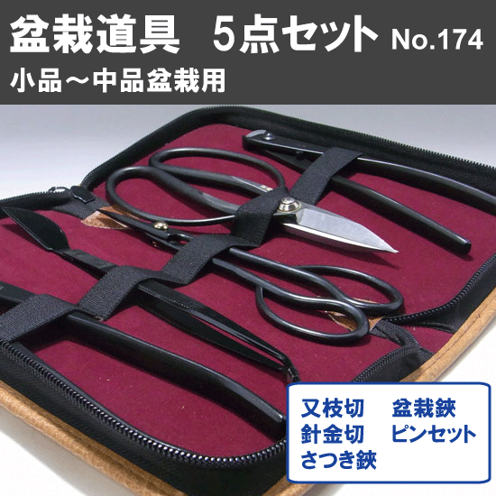 Kaneshin Bonsai Tools Set 5-Piece For Small To Medium Bonsai No