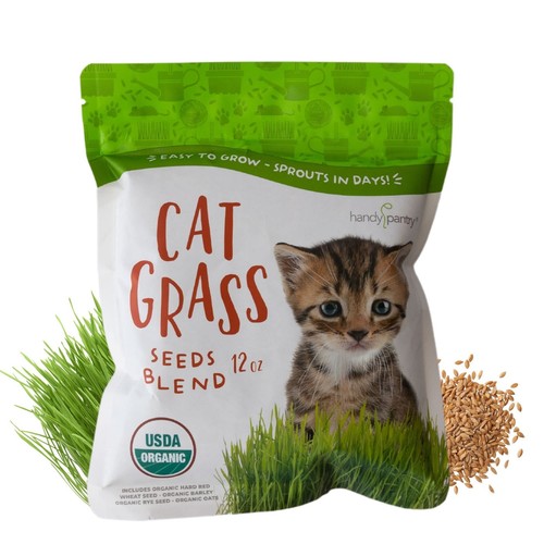 Organic Cat Grass Seed Blend for Planting - 12 oz. Brand - A Healthy Mix of O...