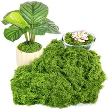 150g 5.3OZ Fake Green Moss Indoor Plants Crafts Preserved DIY Centerpieces