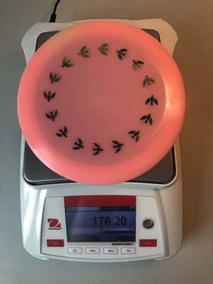   Infinite Discs C-Blend Slab   Color Glow Bomber Ring Stamp   NEW   Rare!  