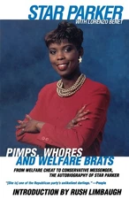 Pimps, Whores and Welfare Brats: From Welfare Cheat to Conservative Messenge...