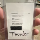 2023 Panini Phoenix Basketball Orange Chet Holmgren #CG-CHG