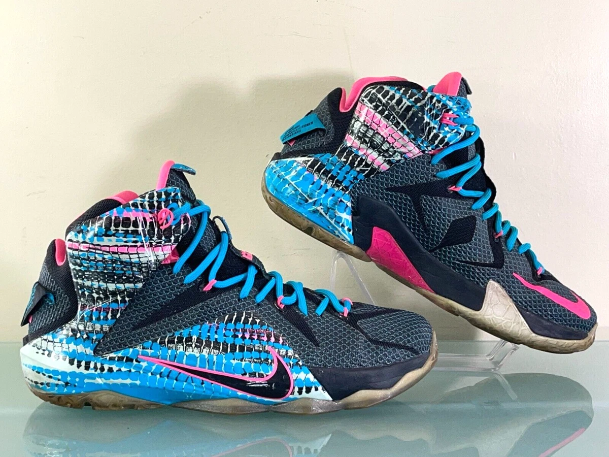 lebron 12 shoes