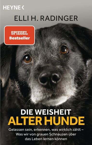 Thumbnail - Die Weisheit Alter Hunde