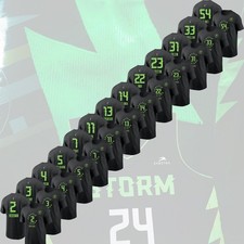 Seattle Sto.rm 2026 Rebel Edition Players: Hiedeman, Melbourne, Magbegor, Holmes