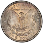 1921-P PCGS MS63 Morgan Dollar w/ Beautiful Toning & Outstanding Eye Appeal