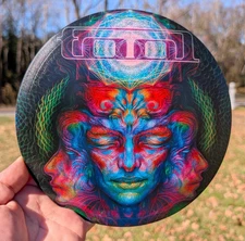 Disc Golf New Custom MVP Discs Neutron TRAIL 173g Distance Driver PDGA Approved