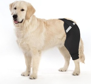 Dog Rear Leg Sleeve to Stop Licking, RIGHT MEDIUM NEW C0303