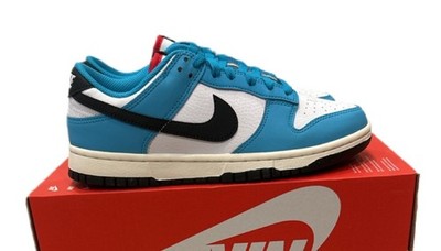 Nike Dunk Low Next Nature N7 Dark Turquoise Blue HJ9088-488 Mens 7/ Women s 8.5