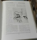 Foto 10 di 11