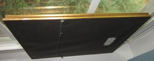 ANTIQUE HAND COLORED STEEL ENGRAVINGS 2 BOTANICALS BY J. BISHOP, 1855 EDINBURGH - Picture 9 of 9